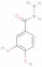 3,4-Dihydroxybenzoic acid hydrazide