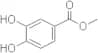 Methyl 3,4-dihydroxybenzoate
