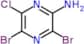 3,5-Dibromo-6-chloropyrazin-2-amine