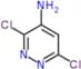 3,6-dichloropyridazin-4-amine