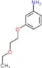3-(2-ethoxyethoxy)aniline