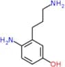 4-amino-3-(3-aminopropyl)phenol