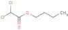 Butyl 2,2-dichloroacetate