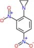 1-(2,4-dinitrophenyl)aziridine