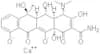 Oxytetracycline calcium