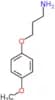 3-(4-methoxyphenoxy)propan-1-amine