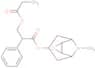 Benzeneacetic acid, α-[(1-oxopropoxy)methyl]-, 9-methyl-3-oxa-9-azatricyclo[3.3.1.02,4]non-7-yl es…