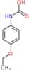 N-(4-Ethoxyphenyl)-N-hydroxyformamide