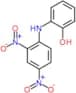 2-(2,4-dinitroanilino)phenol