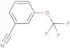 m-(Trifluoromethoxy)benzonitrile