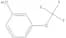 3-(Trifluoromethoxy)phenol