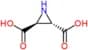 2,3-dicarboxyaziridine