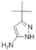 3-Amino-5-tert-butylpyrazole