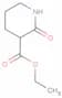 3-Carbethoxy-2-piperidone