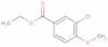 ethyl 3-chloro-p-anisate