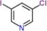 3-chloro-5-iodo-pyridine