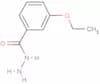 3-Ethoxybenzhydrazide