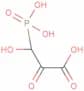 Phosphohydroxypyruvic acid