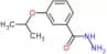 3-(1-Methylethoxy)benzoic acid hydrazide