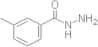 3-Methylbenzohydrazide