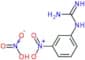 1-(3-nitrophenyl)guanidine nitrate