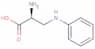 3-(phenylamino)alanine