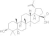 Betulinic acid