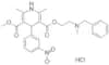 Nicardipine hydrochloride