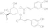 4,5-Dicaffeoylquinic acid