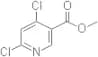 Methyl 4,6-dichloronicotinate