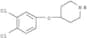 Piperidine,4-(3,4-dichlorophenoxy)-
