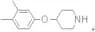 4-(3,4-Dimethylphenoxy)piperidine
