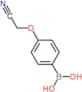 B-[4-(Cyanomethoxy)phenyl]boronic acid