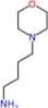 4-(morpholin-4-yl)butan-1-amine