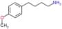 4-(4-methoxyphenyl)butan-1-amine