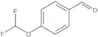 4-(Difluoromethoxy)benzaldehyde