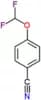 4-(Difluoromethoxy)benzonitrile