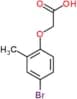 (4-bromo-2-methylphenoxy)acetic acid