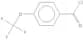 4-Trifluoromethoxybenzoyl chloride