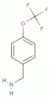 4-(Trifluoromethoxy)benzylamine
