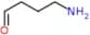 4-Aminobutanal