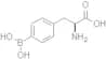 L-p-Boronophenylalanine