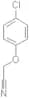 4-Chlorophenoxyacetonitrile