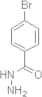 4-Bromobenzoic acid hydrazide