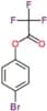 4-bromophenyl trifluoroacetate