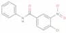 4-Chloro-3-nitro-N-phenylbenzamide