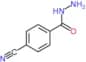 4-cyanobenzohydrazide