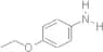 4-Ethoxyaniline