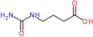 4-(carbamoylamino)butanoate