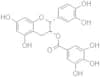 (-)-epicatechin gallate